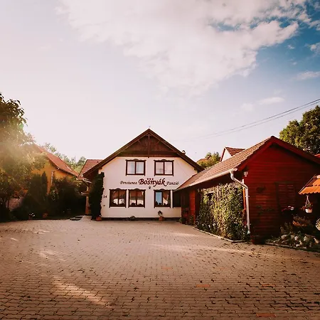 Bed & Breakfast Bosnyak Panzio *