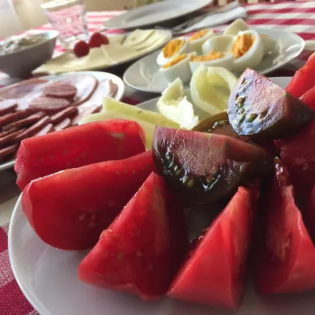 Bed & Breakfast Bosnyak Panzio *
